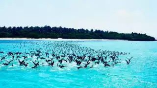 Este sitio tiene conexión con lagunas y manglares