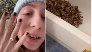 Joven hace todo para recuperar su anillo de compromiso que perdió en el bosque