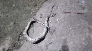 La niña fue trasladada a un hospital para ser atendida