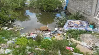 Los plásticos más contaminantes son de herbicidas