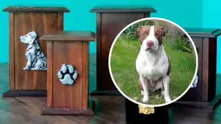 “No le deseo eso a nadie”: Acusan a crematorio de mascotas en Mérida de entregar cenizas equivocadas