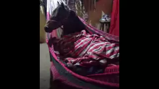 En cuestión de minutos las fotografías se comenzaron a difundirse por medio de las redes sociales