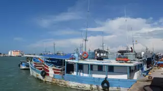 Se invirtieron más de 160 mdp en avituallamiento