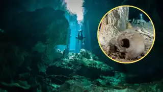¿Qué hay en el fondo de un cenote?