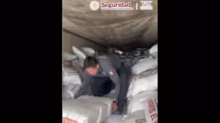 Aseguran más de 3 toneladas de metanfetamina ocultas entre alimento para animales en Sonora