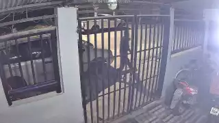 Los delincuentes huyeron a bordo de la motocicleta robada