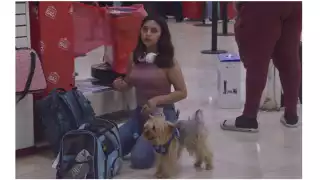Bilbo se roba miradas en el Aeropuerto Internacional de Cancún