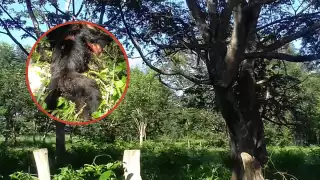 La población pide a las autoridades tomar cartas en el asunto y terminar con este problema