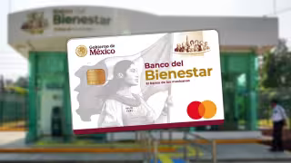 Inicia la entrega de las Tarjetas Bienestar para mujeres y adultos mayores en Yucatán: conoce el calendario completo