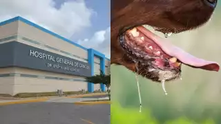 El hombre de 67 años murió por rabia al ser presuntamente mordido por un gato enfermo