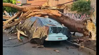 Muere adulto mayor durante evacuación tras sismo de 6.5 en CDMX; reportan también 12 lesionados y daños menores