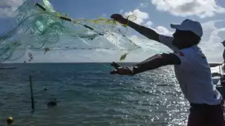 Para los pescadores es imposible atender la demanda en temporadas altas