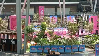 A los fanáticos no les importó causar daños por ver a los protagonistas de la película