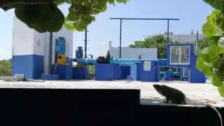 El Cabildo demandó al consorcio por suspender sin explicación una inversión de 35 mdp programada para el año pasado y por el pésimo servicio que brinda