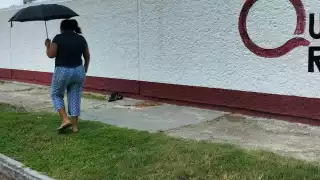 Los restos se convirtieron en un foco de infección frente a una escuela secundaria.