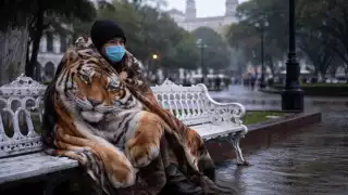 Vuelve la "heladez": Año Nuevo llegará con descenso notable de temperaturas y noches frías en Yucatán