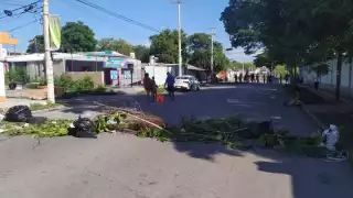 vecinos cerraron la circulación con ramas, piedras y bolsas de basura