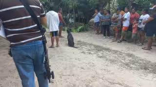 La víctima sufrió una descarga, generando que cayera de varios metros de altura.
