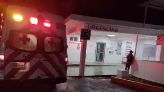 Horas más tarde, cuando las toxinas del veneno de la culebra había empezado a hacer efecto, decidió acudir con el curandero del pueblo