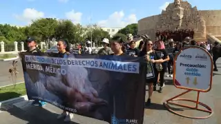 La marcha acabó en el Remate de Montejo con una degustación vegana