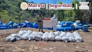 Fuerzas federales decomisan de más de 16 toneladas de metanfetamina en Sinaloa; desmantelan megaboratorio