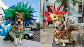 Los aspectos a calificar serán entusiasmo, originalidad, fastuosidad, glamour y congruencia.