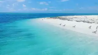 Esta es la playa más linda de Yucatán