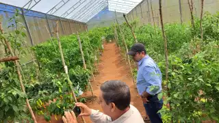 Actualmente, son 24 investigadores para atender toda la Península de Yucatán