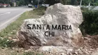 Santa María Chi vive entre moscas por una granja porcícola; hay lagunas llenas de desperdicios