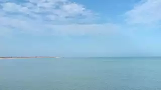   Marea roja en Yucatán: Las playas que no han sido afectadas     por algas tóxicas