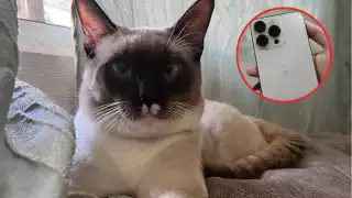 Naigel desapareció en la colonia Haciendas, Caucel de Mérida