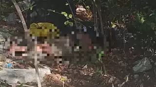 El hombre se encontraba tendido en el monte baldío de Playa del Carmen