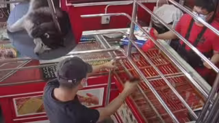 El peludito no se molestó en despertar ante la 'emergencia'. Foto: Especial