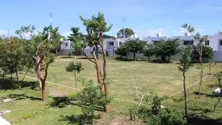 Parque la Plancha en Mérida recupera sus áreas verdes a un mes de su inauguración