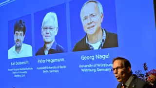 Nobel de Medicina 2026 premia a tres científicos por revolucionar el estudio del cerebro con luz