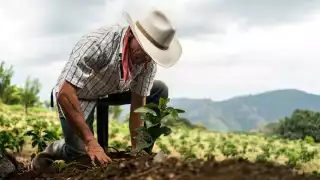 Arturo Méndez Jiménez dijo que hay personas a las cuales les quitan la mitad de los recursos