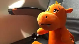 Personal de Volaris bautizaron como Drago al peluche que espera volver con su dueño