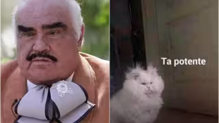 En los últimos años, los memes han cobrado relevancia como una forma de expresar las emociones con un sentido del humor