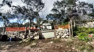 Son alrededor de 450 familias que llegaron a estos predios propiedad del Ejido Playa del Carmen para crear las colonias Alfa y Omega, y San Judas Tadeo.