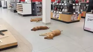 Los internautas aplaudieron la buena labor de los trabajadores