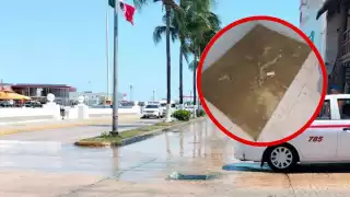 Rebosan aguas negras en Cozumel; 'el olor a excremento llega al malecón': Vecinos