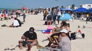 ¿Cuál es la superficie designada por Semarnat?