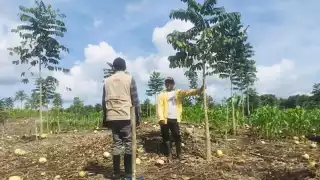 En un mes se repartirán las tarjetas de Bienestar en Campeche