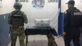 Hallan 15 kilos de droga en una caja de huevo en un paquetería de Playa del Carmen