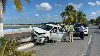 Adultos mayores provocan aparatoso choque en el Malecón de Campeche y derriban una palmera