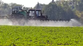 El herbicida fue encontrado en tres especies de animales silvestres