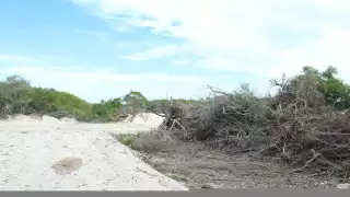 Pobladores se disputan tierras en Celestún; más de 100 lotes están ocupados de manera ilegal