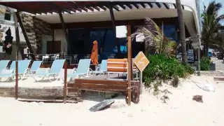Ruido espanta al turismo en Playa del Carmen; hoteleros reportan baja ocupación