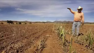 La escasez del agua fue el principal factor que ocasionó pérdidas a las unidades de producción agropecuaria en el país