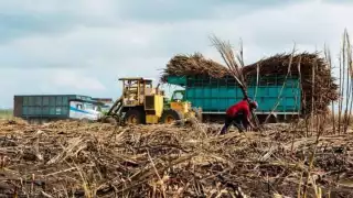 Cañeros de Quintana Roo no logran el acuerdo esperado para préstamo, quieren cobrarles intereses